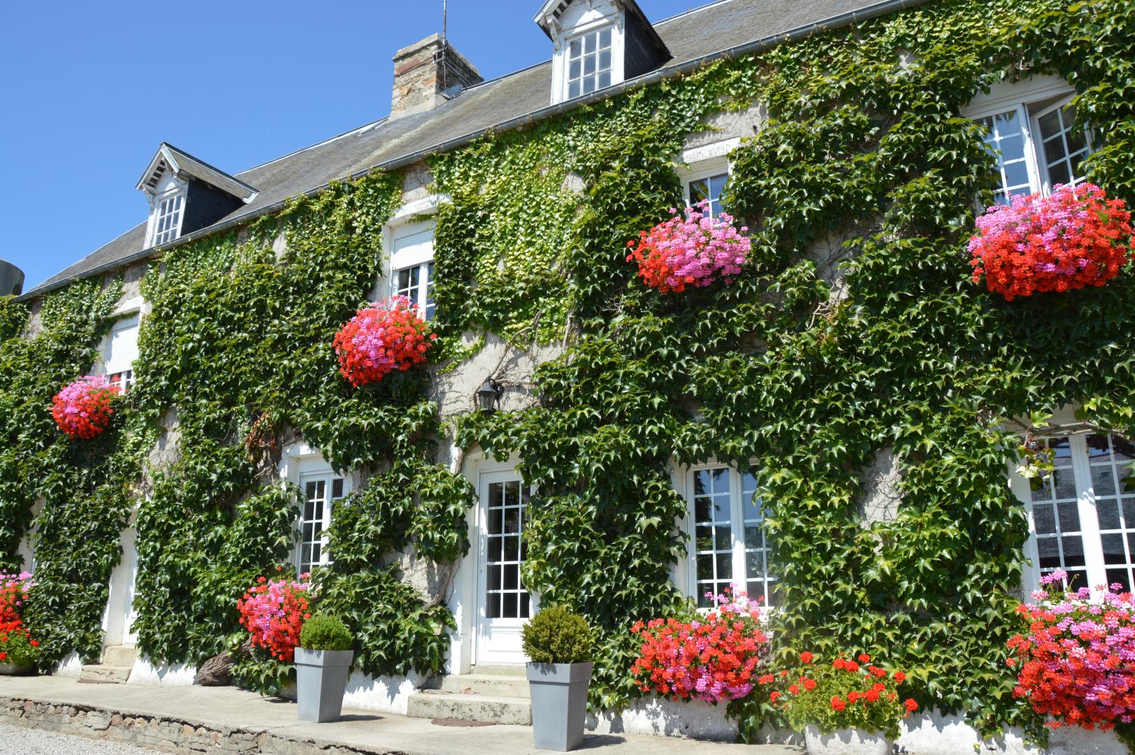 Gîtes de France G221 : La Sagerie, Doville - photo 53