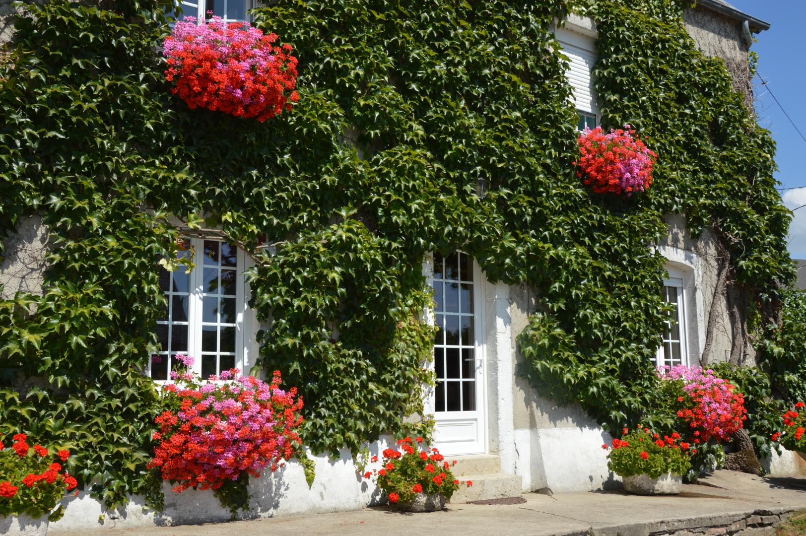 Gîtes de France G221 : La Sagerie