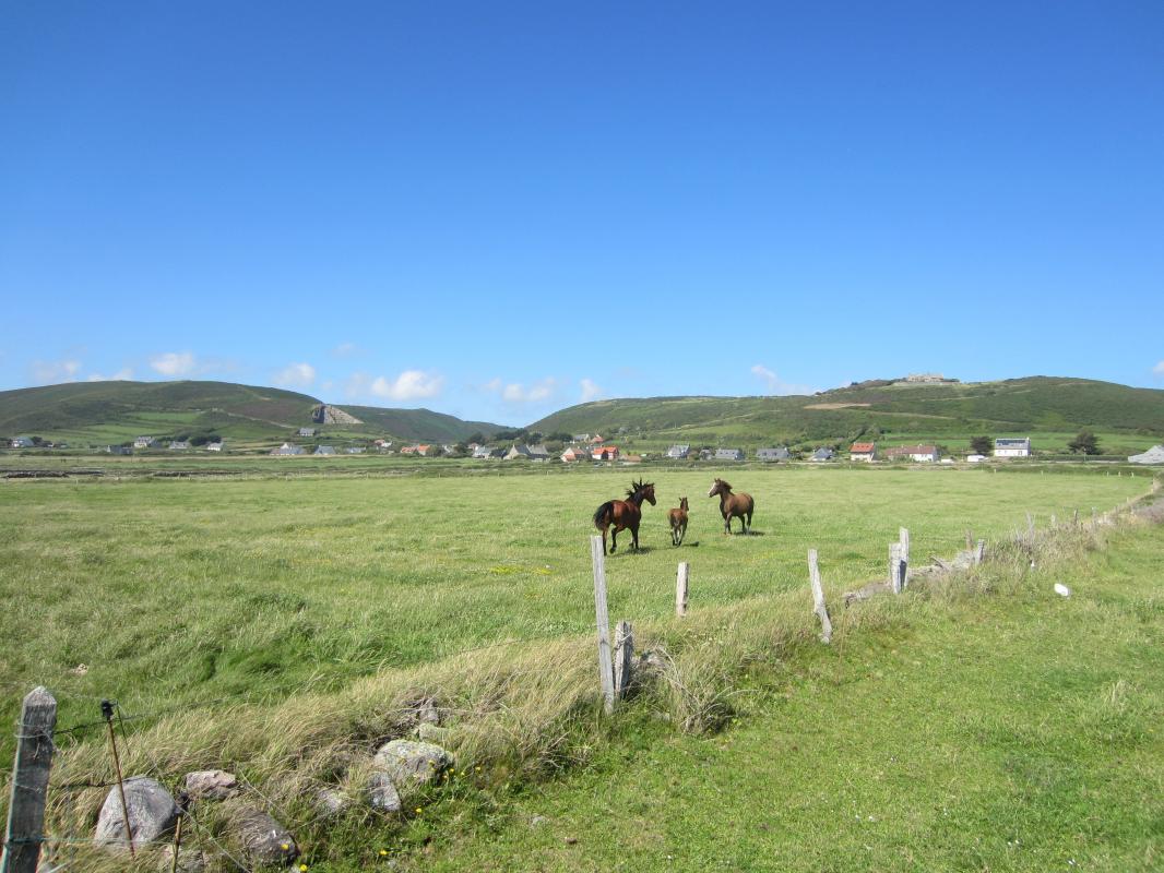 Gîtes de France G228 : Le Clibec, Surtainville - photo 221