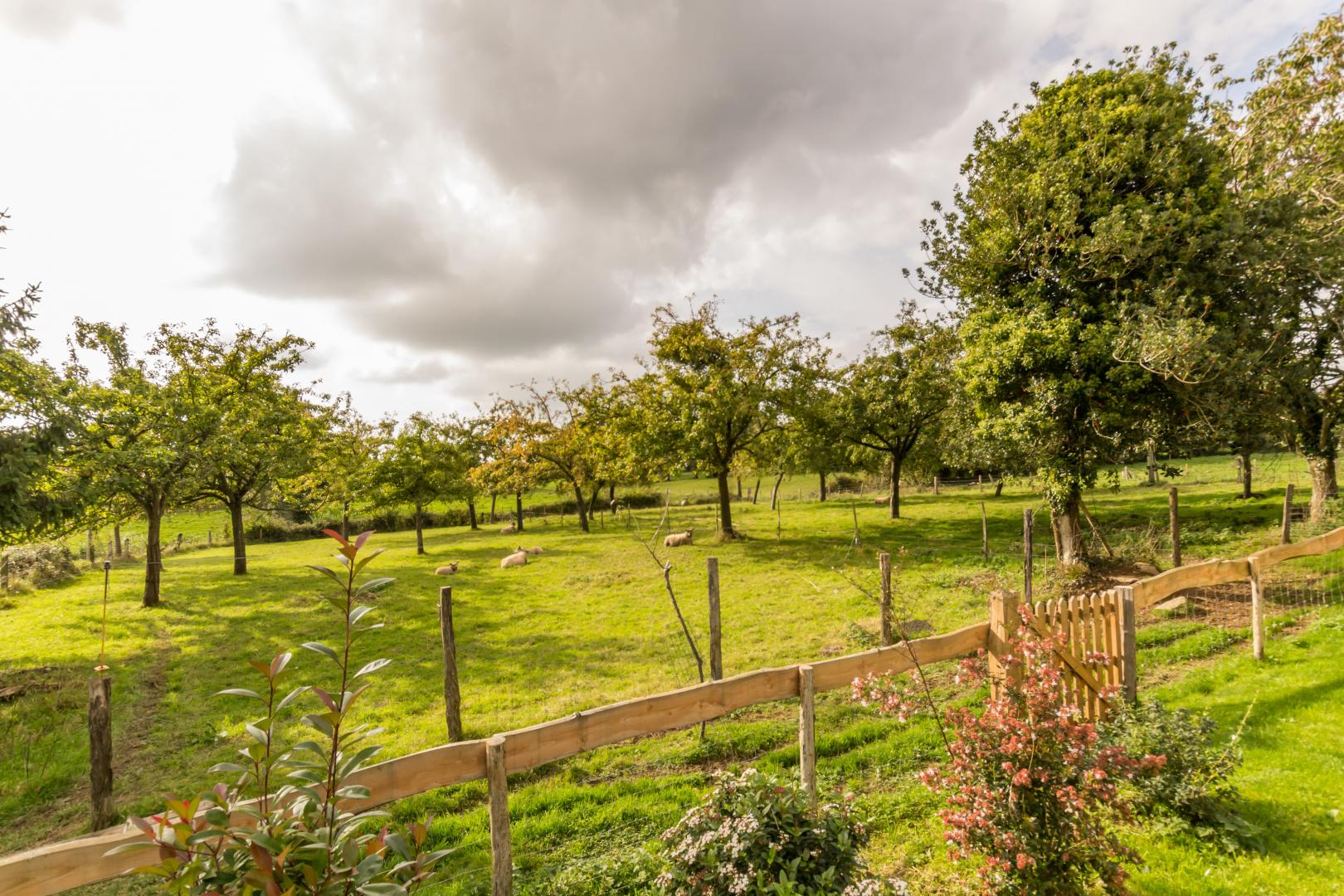 Gîtes de France G249 : La Petite Longère, Montaigu-les-Bois - photo 218