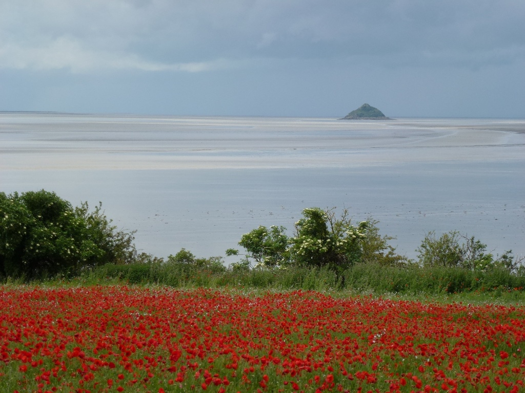Gîtes de France G291, Huisnes-sur-Mer - photo 5