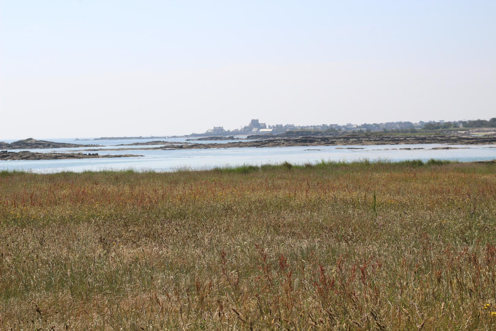 Gîtes de France G313 : La Petite Saline, Gatteville-le-Phare - photo 241