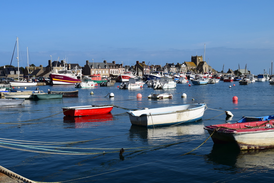 Gîtes de France G313 : La Petite Saline, Gatteville-le-Phare - photo 221