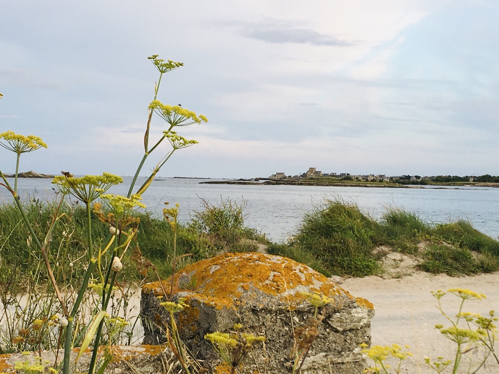Gîtes de France G313 : La Petite Saline, Gatteville-le-Phare - photo 215