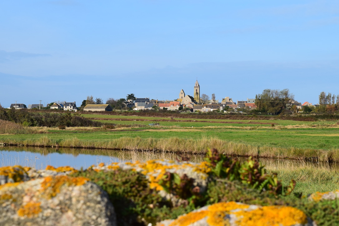 Gîtes de France G313 : La Petite Saline, Gatteville-le-Phare - photo 217