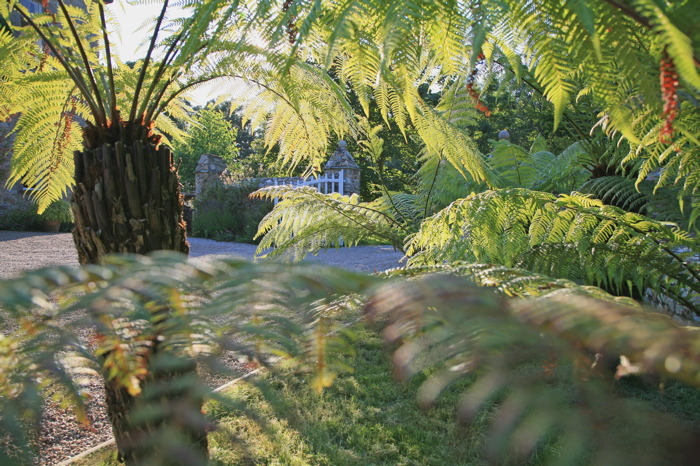 Chambres d'Hôtes > Manoir de la Fieffe, Cherbourg-en-Cotentin - photo 14