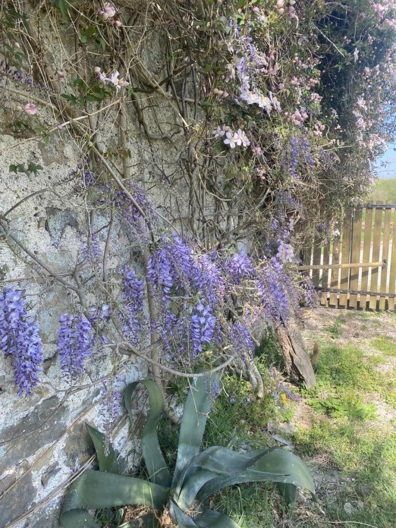 Gîtes de France G333109 : La Ferté, Saint-Floxel - photo 3