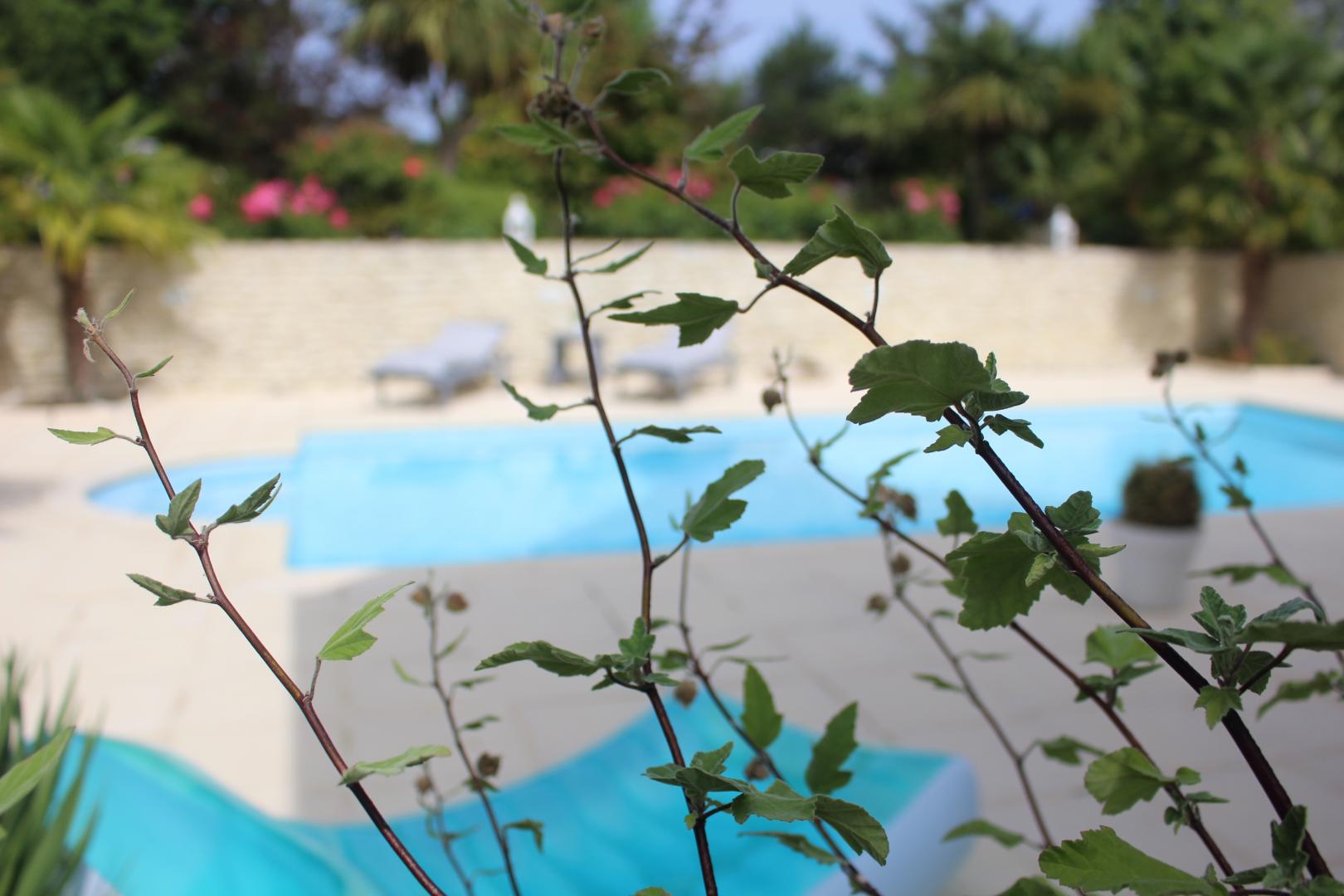 Gîtes de France G333125 : Au Jardin d'Etaville, Sottevast - photo 85
