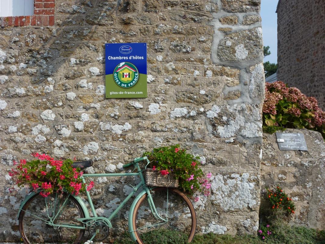 Gîtes de France G333146 : Les Deux Caps, Carneville - photo 601