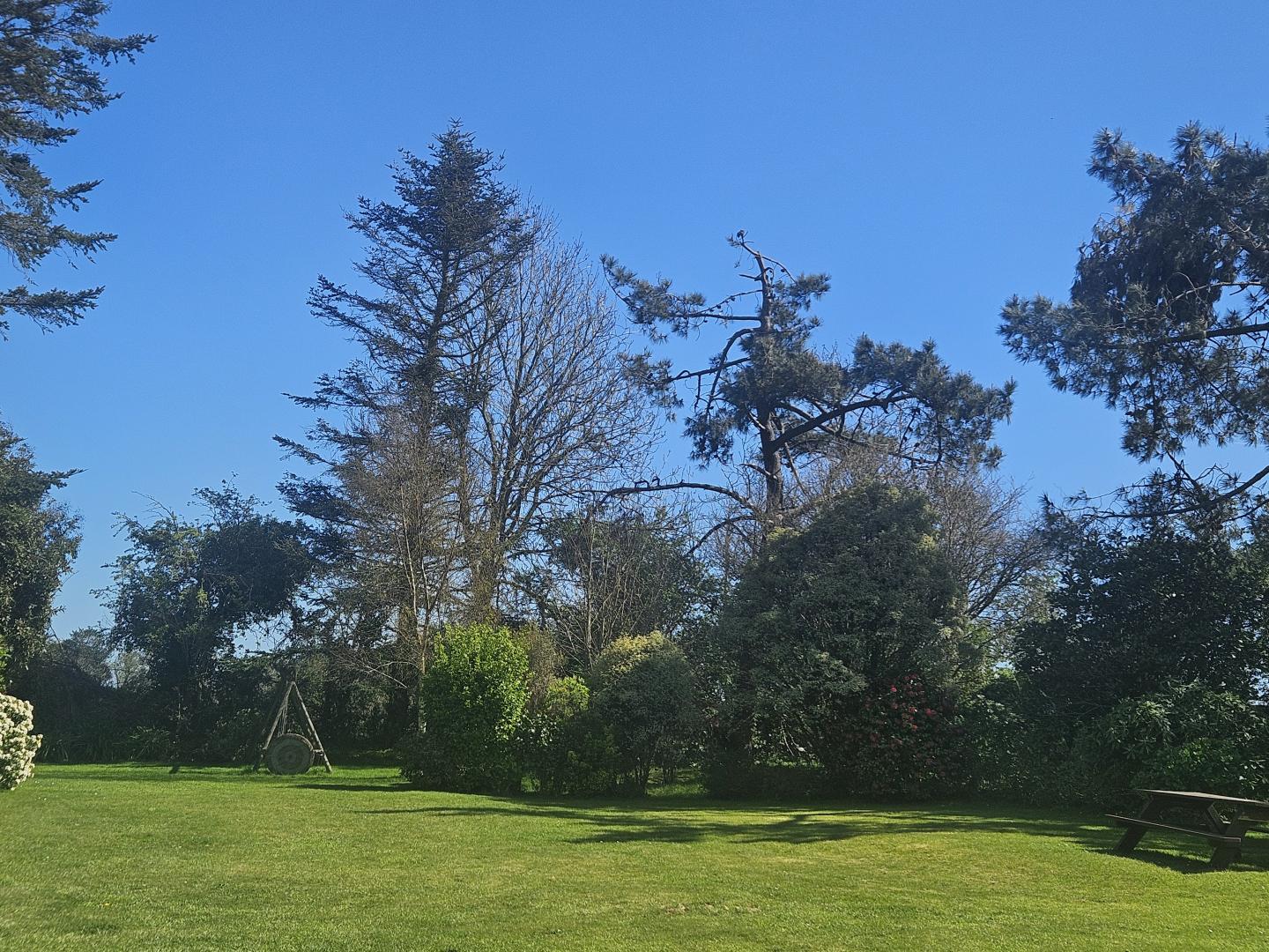 Gîtes de France G333146 : Les Deux Caps, Carneville - photo 597
