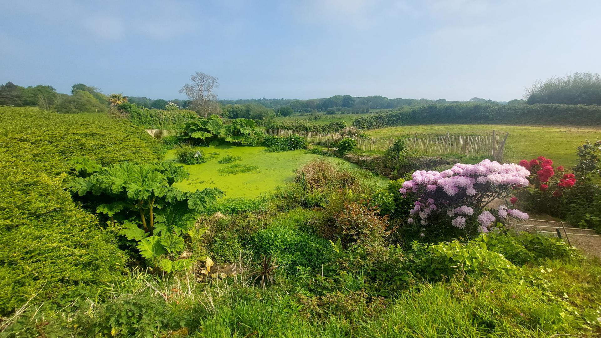 Gîtes de France G333146 : Les Deux Caps, Carneville - photo 622