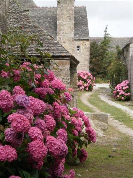 Chambre d'Hôtes > Le Château du Rozel, Le Rozel - photo 3