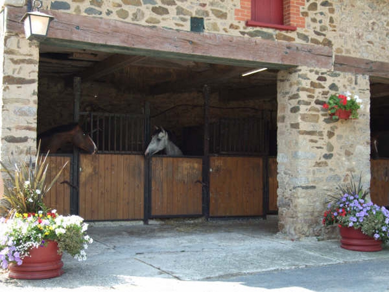 Chambre d'hôtes > Chambre d'hôtes des Ruettes