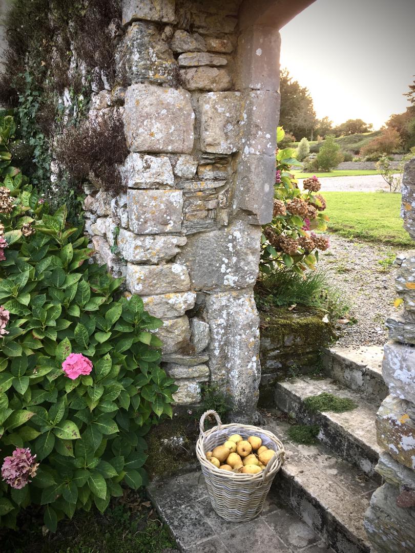 Gîtes de France G33317 : Le Presbytère au bord de l'Etang, Montaigu-la-Brisette - photo 128