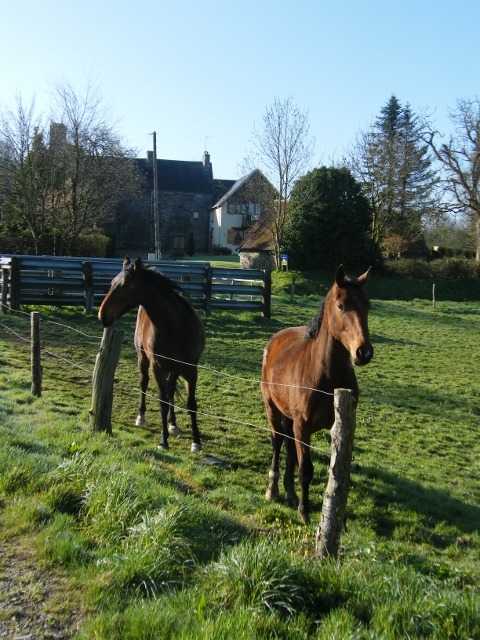 Chambres d'Hôtes > La Ferme de Montaigu, Montaigu-les-Bois - photo 3