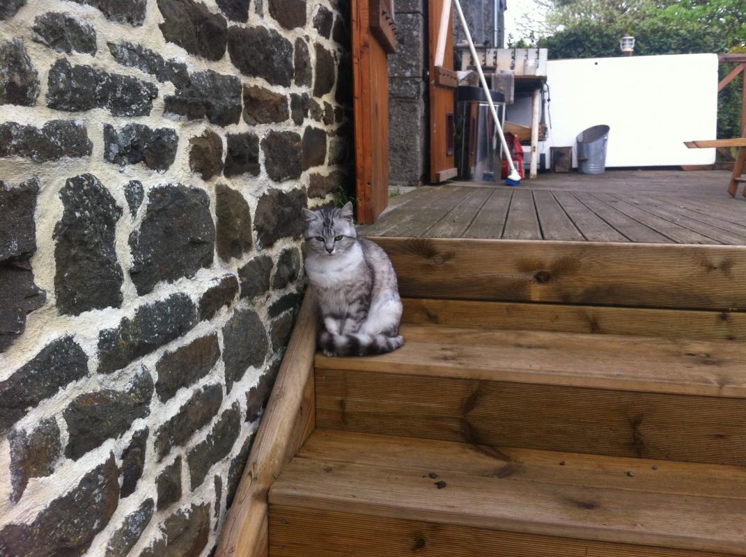 Chambres d'Hôtes > La Ferme de Montaigu, Montaigu-les-Bois - photo 17