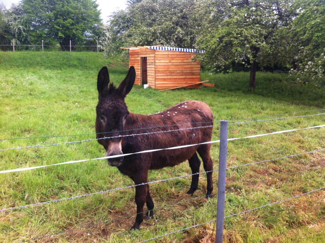 Chambres d'Hôtes > La Ferme de Montaigu, Montaigu-les-Bois - photo 5