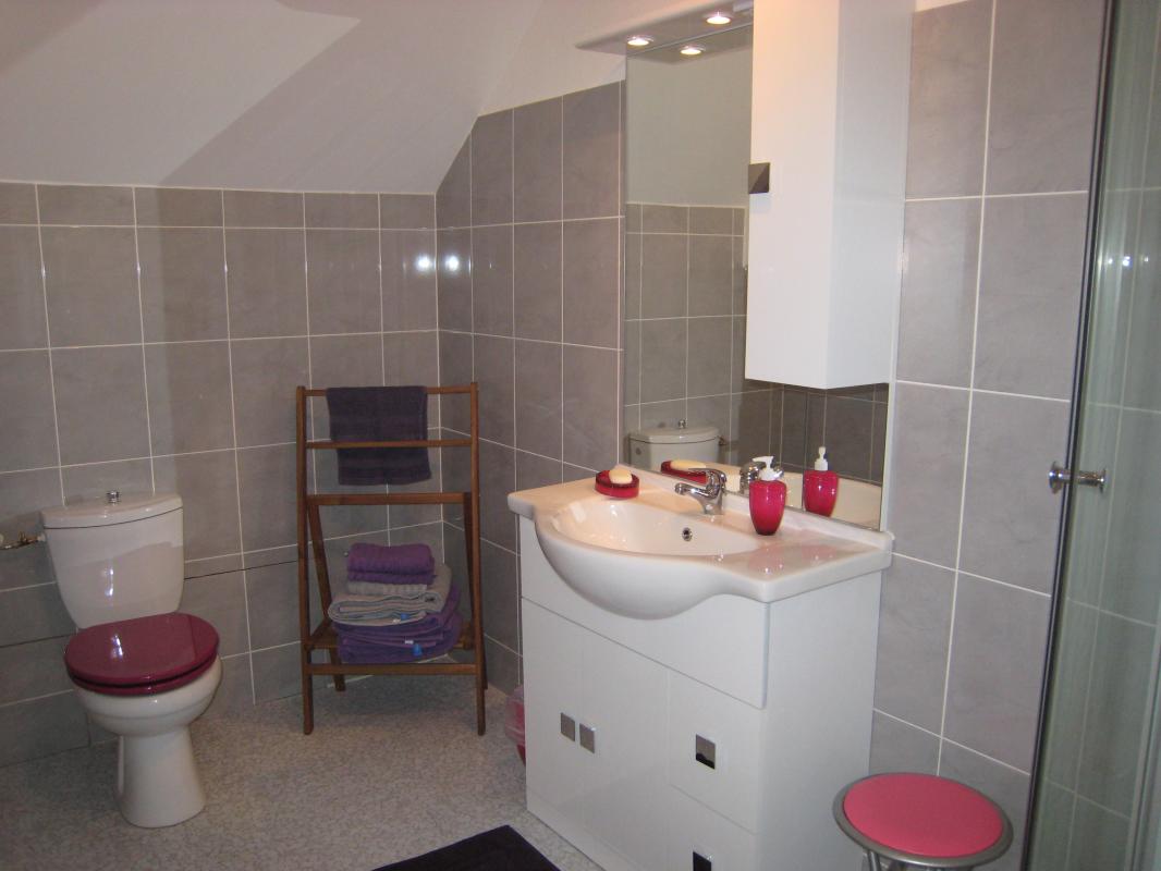 Gîtes de France G333196 : Le Clos Michel, Saint-Brice - photo 20