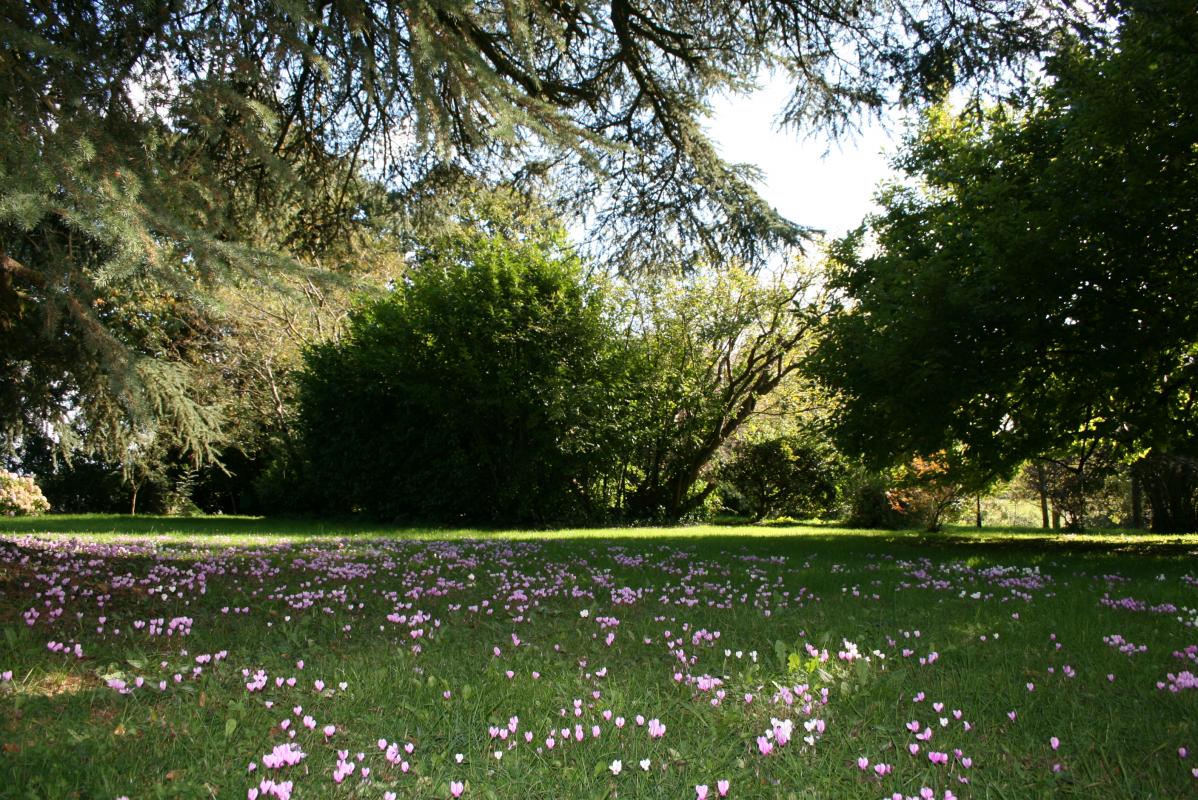 Chambres d'Hôtes > Les Logis du Manoir, Saint-Maur-des-Bois - photo 11