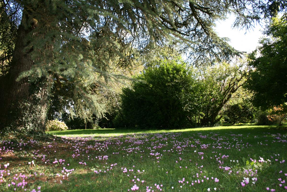 Chambres d'Hôtes > Les Logis du Manoir, Saint-Maur-des-Bois - photo 7