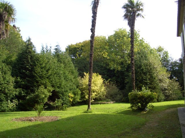 Gîtes de France G33357 : La maison de l'Oraille, L'Étang-Bertrand - photo 66
