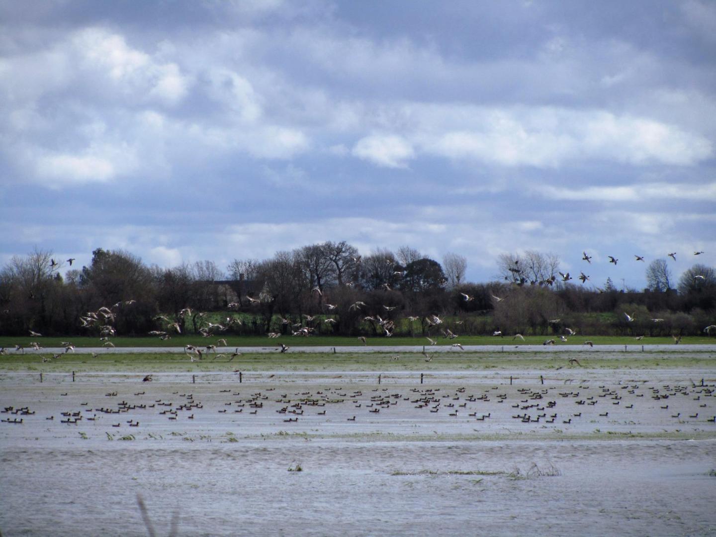 Gîtes de France G355 : Les Marais de la Douve, Liesville-sur-Douve - photo 97