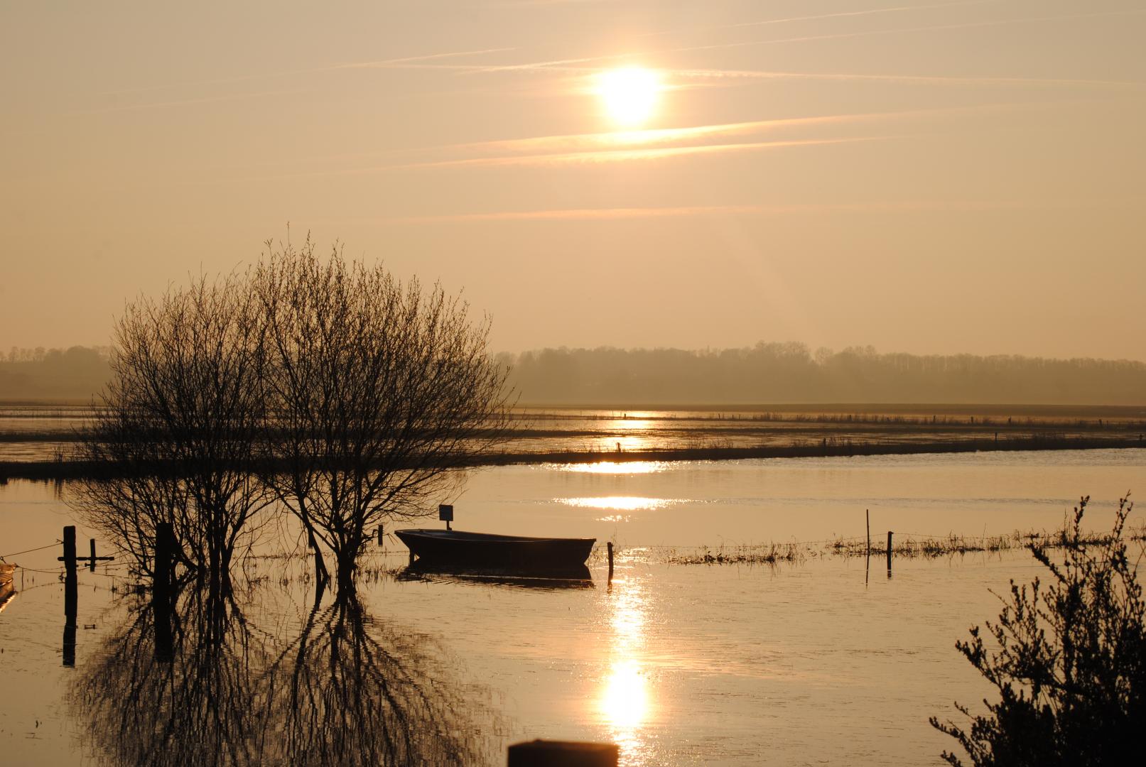 Gîtes de France G355 : Les Marais de la Douve, Liesville-sur-Douve - photo 99