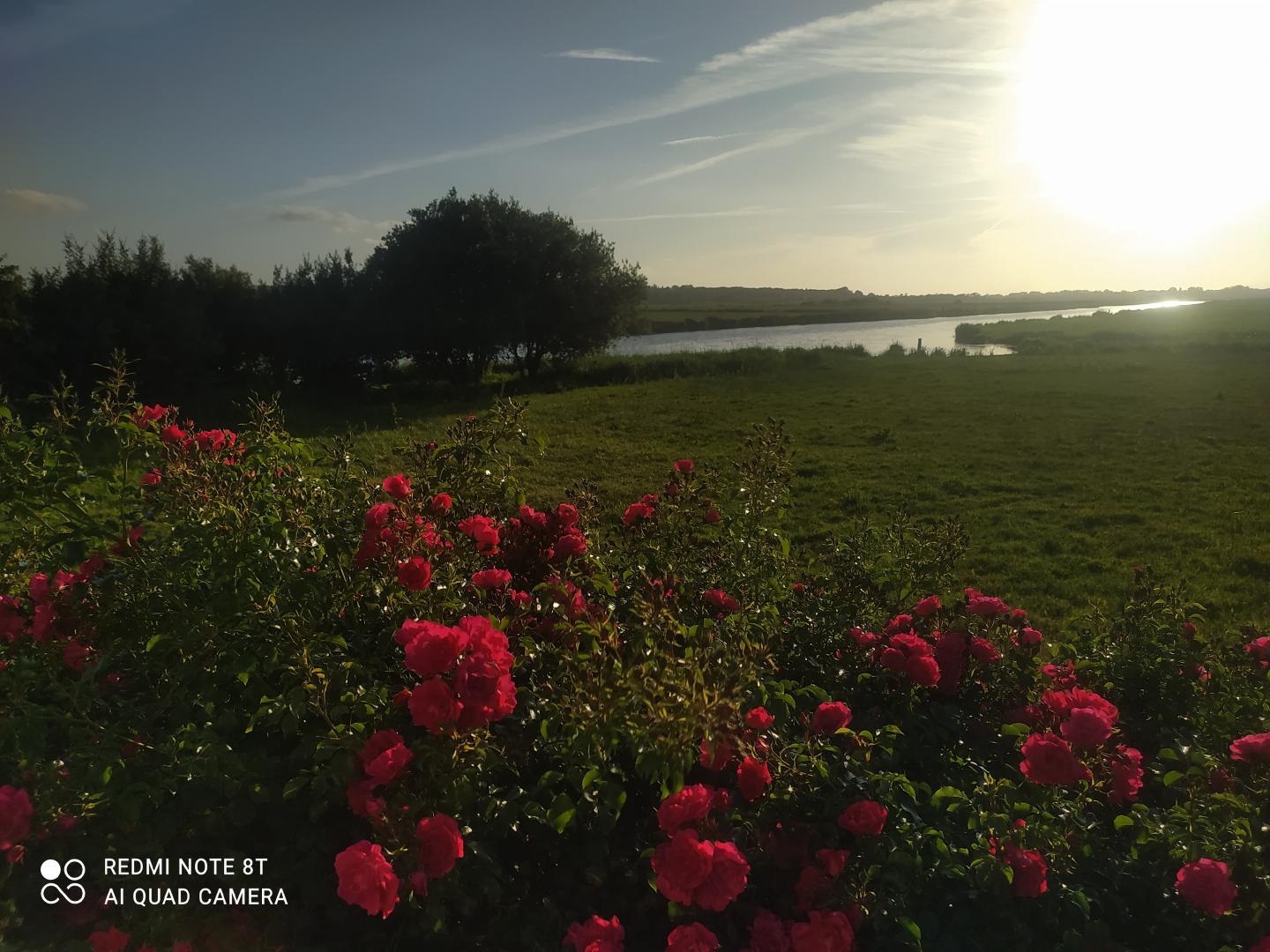 Gîtes de France G355 : Les Marais de la Douve, Liesville-sur-Douve - photo 117
