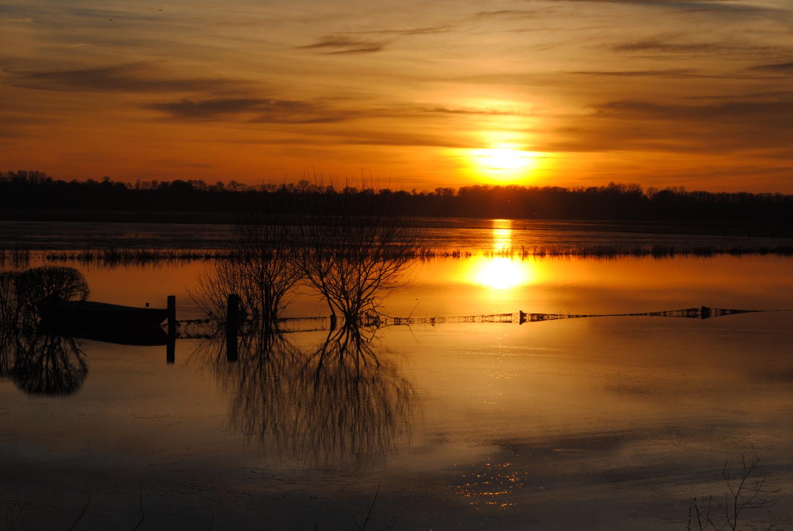 Gîtes de France G355 : Les Marais de la Douve, Liesville-sur-Douve - photo 95