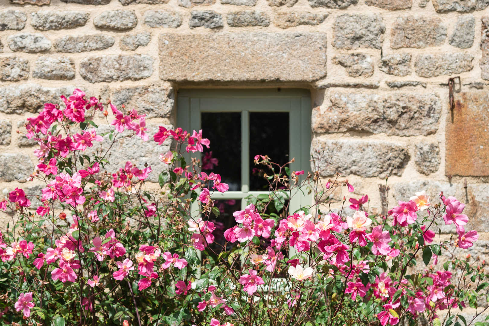Gîtes de France G377 : Esprit du Bocage - Le Pommier, Saint-Clément-Rancoudray - photo 47