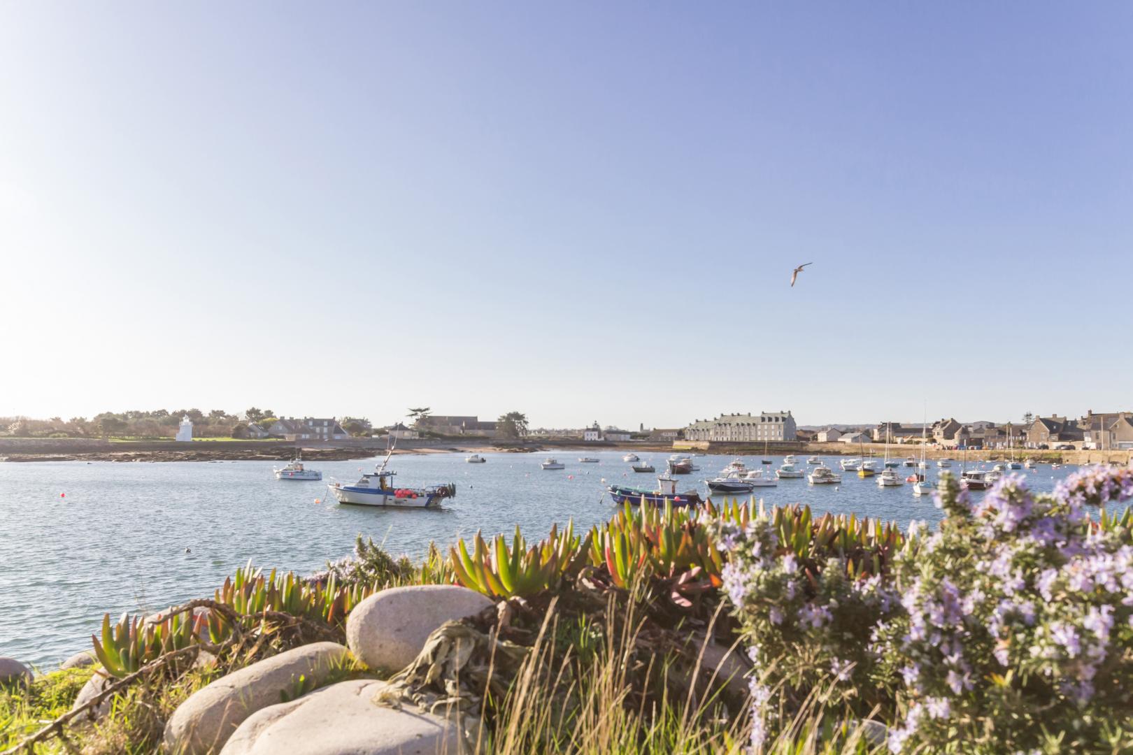 Gîtes de France G4 : Gîtes de France® Les Colonnes, Barfleur - photo 142