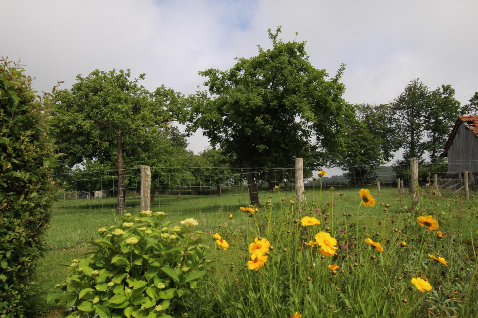 Gîtes de France G424 : Les Magnolias, Le Mesnil-Ozenne - photo 51