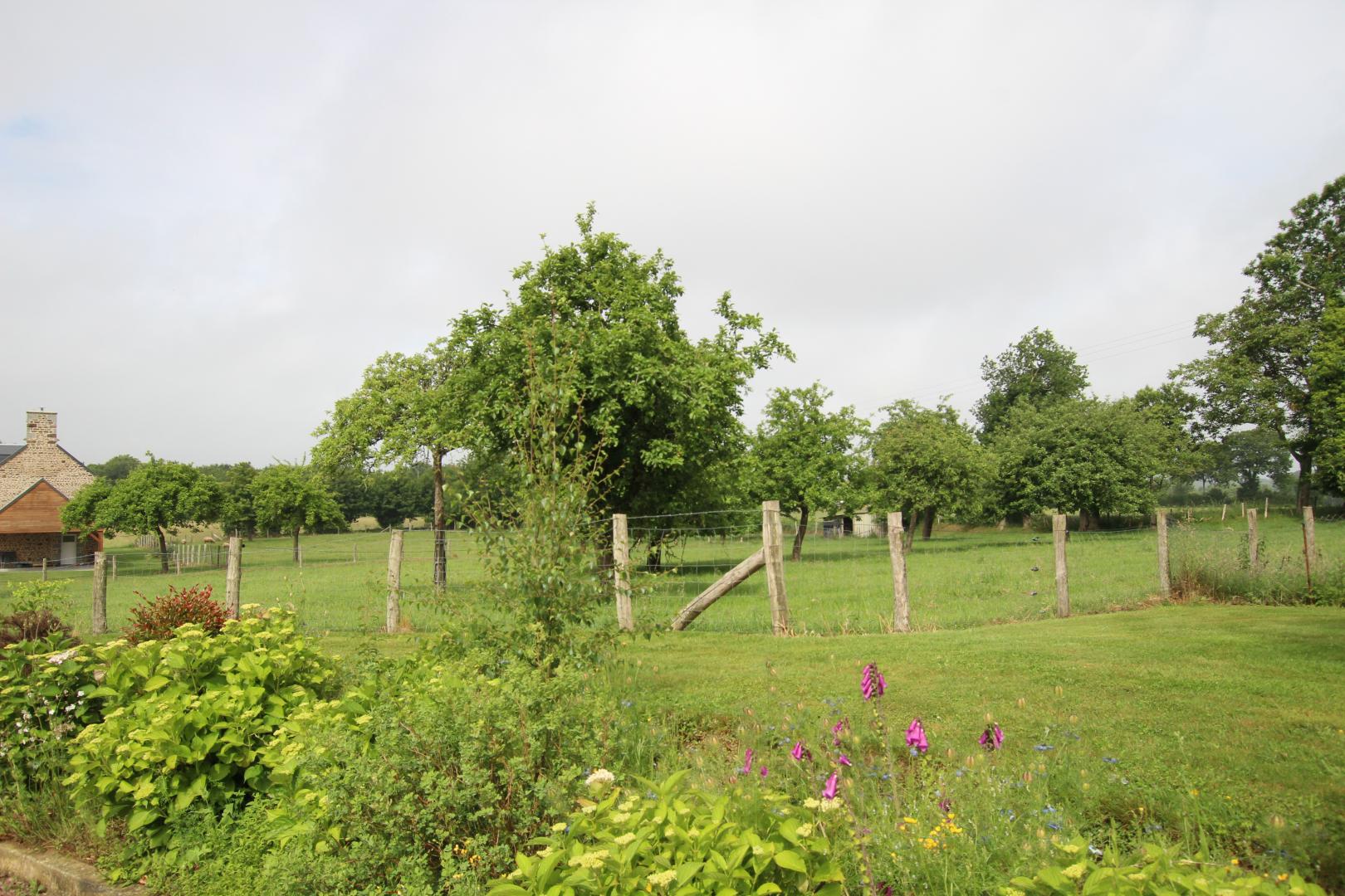 Gîtes de France G425 : Les Hortensias, Le Mesnil-Ozenne - photo 44