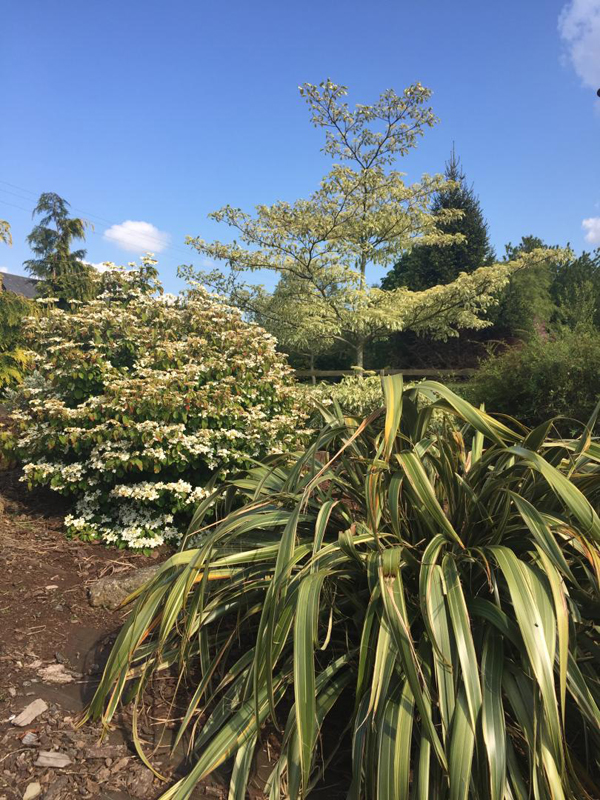 Gîte de groupe G44411 > Le Grand Manoir, Servon - photo 11