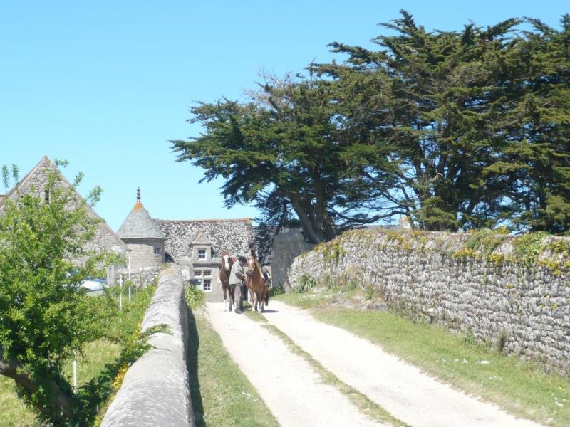 Gîte de groupe G44435 > Le Manoir du Houguet, Réville - photo 19