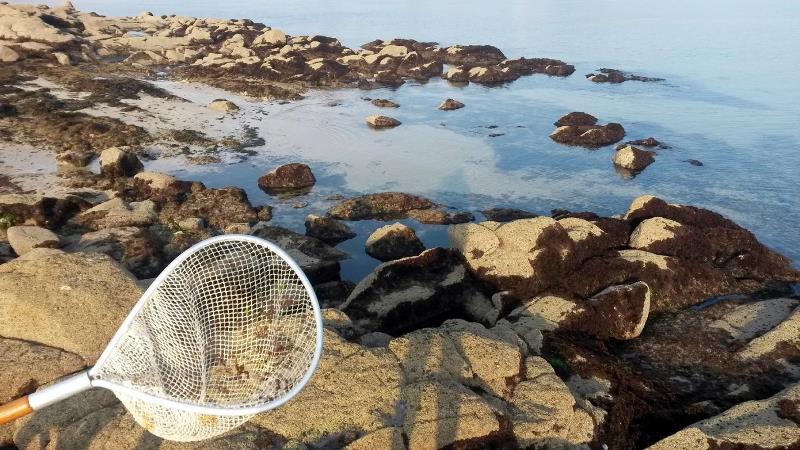 Gîte de groupe G44435 > Le Manoir du Houguet, Réville - photo 29