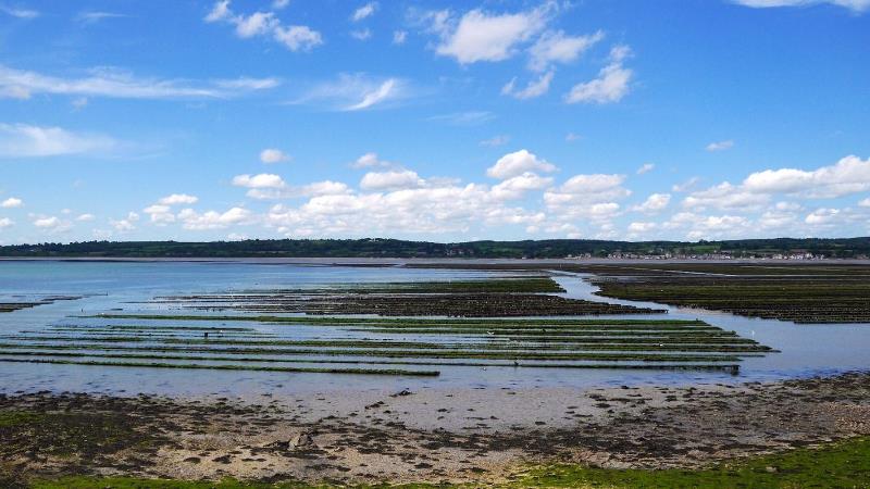 Gîte de groupe G44435 > Le Manoir du Houguet, Réville - photo 6