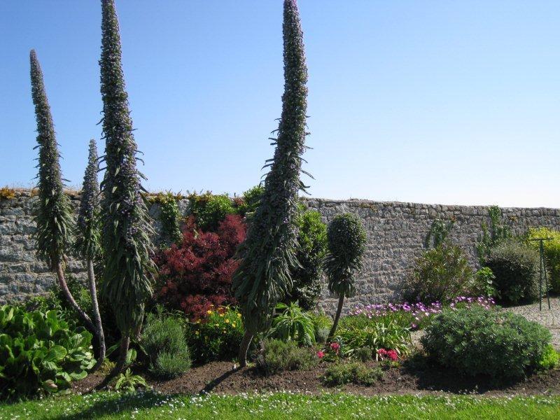 Gîte de groupe G44435 > Le Manoir du Houguet, Réville - photo 20