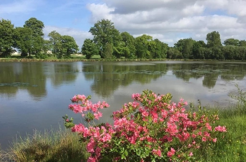 Gîte de groupe G44445 > Le Grand Gîte du Lac, Le Teilleul - photo 12