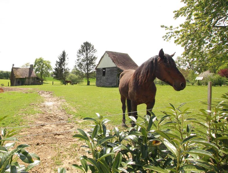 Gîte de groupe G44446 > La Clouardière, Grandparigny - photo 20
