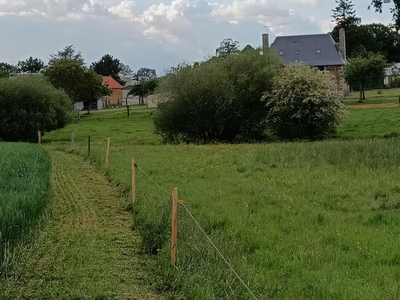 Gîte de groupe G44446 > La Clouardière, Grandparigny - photo 14