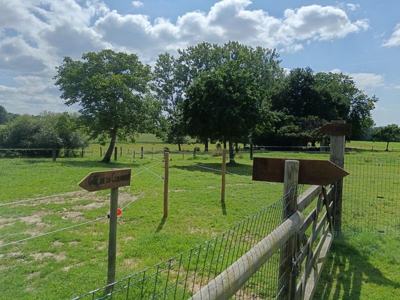 Gîte de groupe G44446 > La Clouardière, Grandparigny - photo 15
