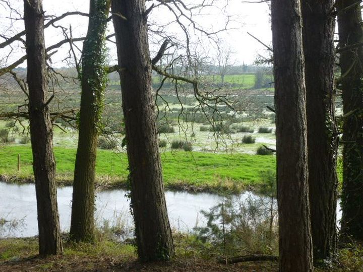Gîtes de France G476 : La Charronnerie, Pirou - photo 106