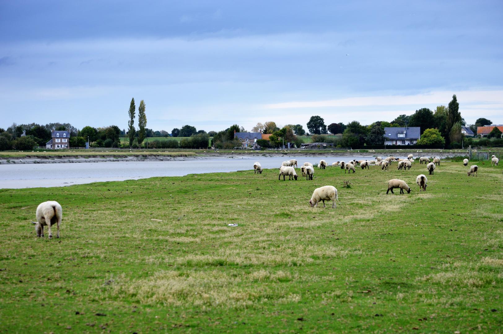 Gîtes de France G479 : La Marronnière, Le Val-Saint-Père - photo 248
