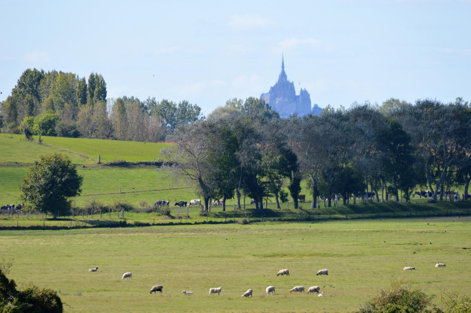 Gîtes de France G479 : La Marronnière, Le Val-Saint-Père - photo 265