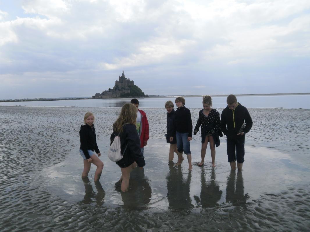 Meublé de tourisme > La Rivière, Isigny-le-Buat - photo 10