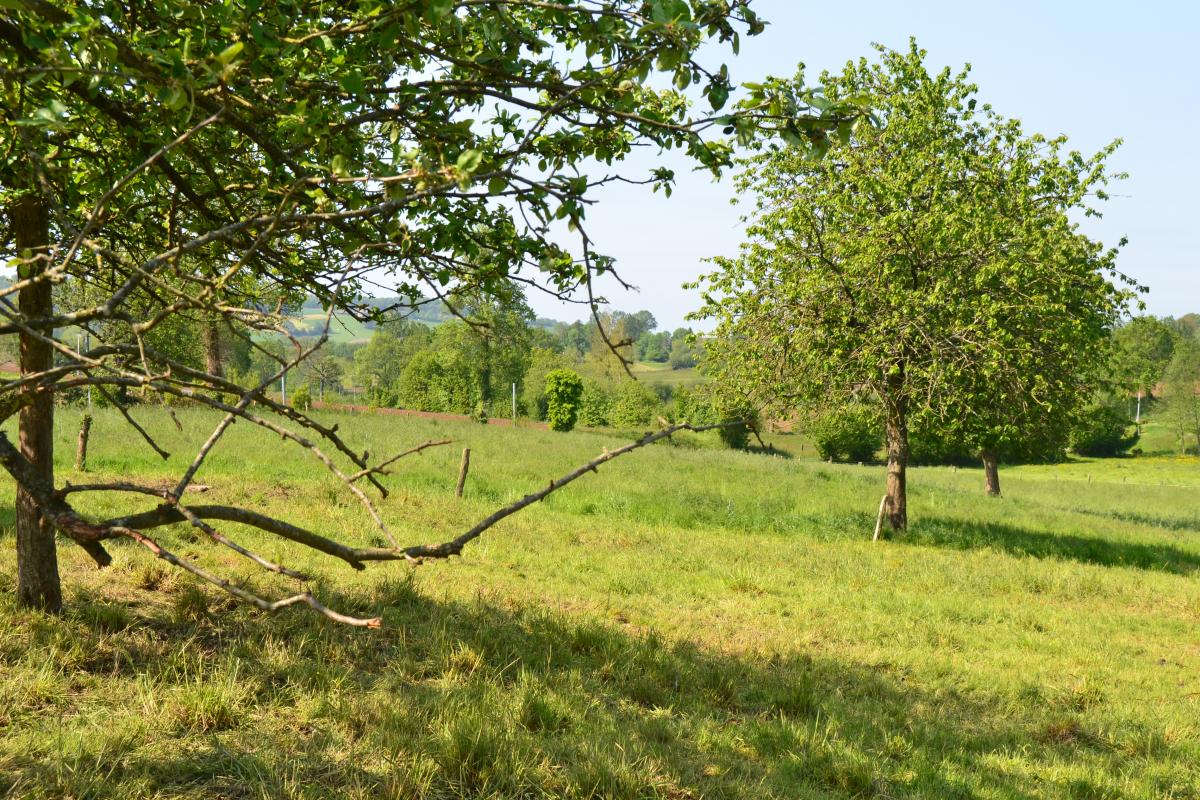 Meublé de tourisme > La Rivière, Isigny-le-Buat - photo 4