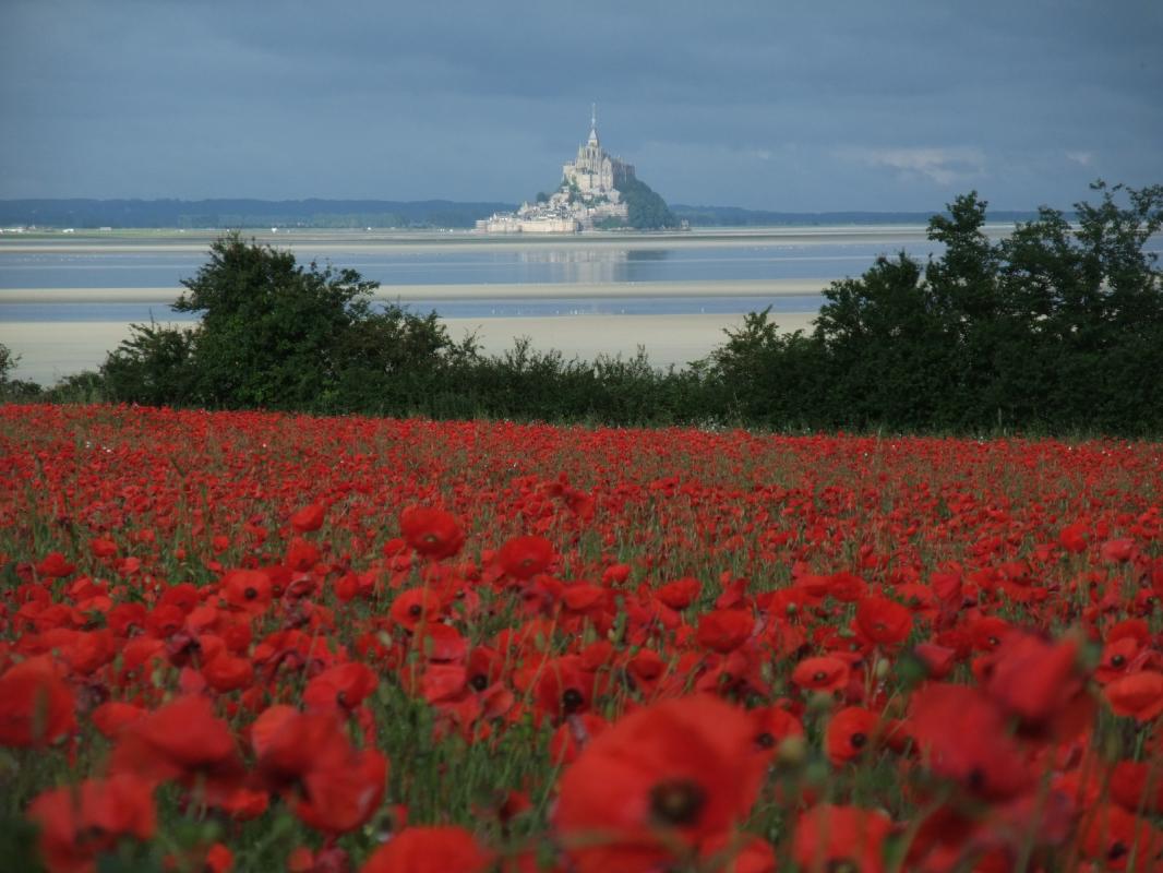 Meublé de tourisme > La Rivière, Isigny-le-Buat - photo 19