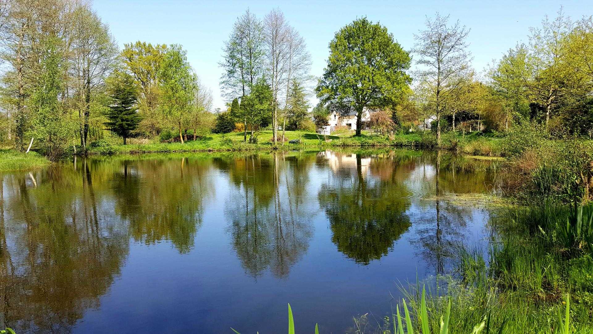 Gîtes de France G497 : L'étang, Marcey-les-Grèves - photo 82