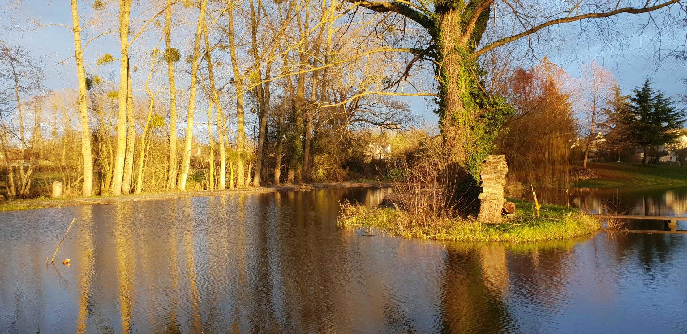 Gîtes de France G497 : L'étang, Marcey-les-Grèves - photo 89